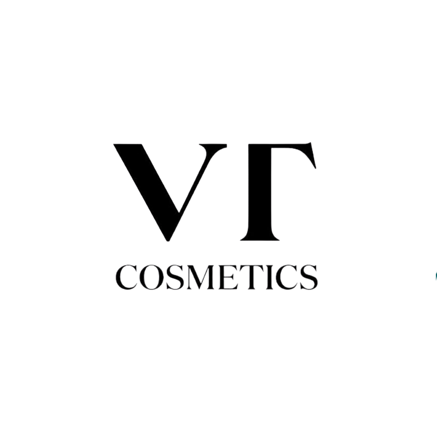 VT COSMETICS