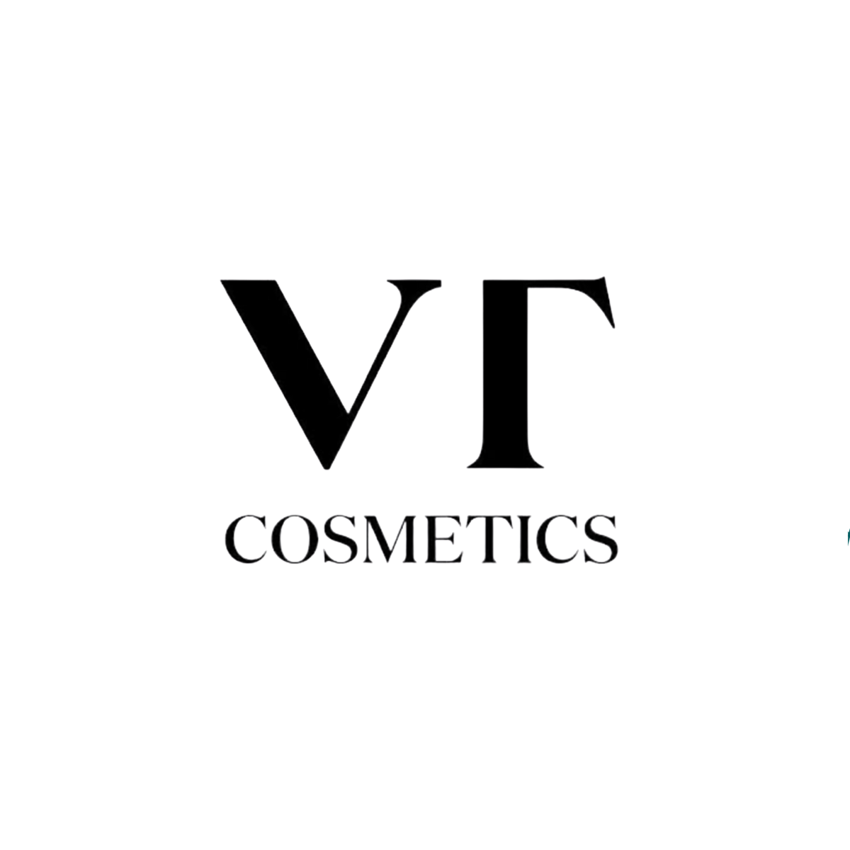 VT COSMETICS