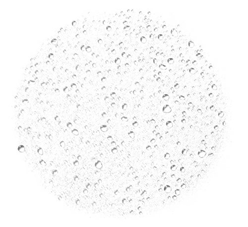 ELF Fijador Power Grip Dewy Setting Spray