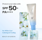 BEAUTY OF JOSEON Protector Relief Sun AQUA-FRESH 50ml