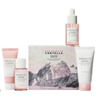 POREMIZING Travel Kit