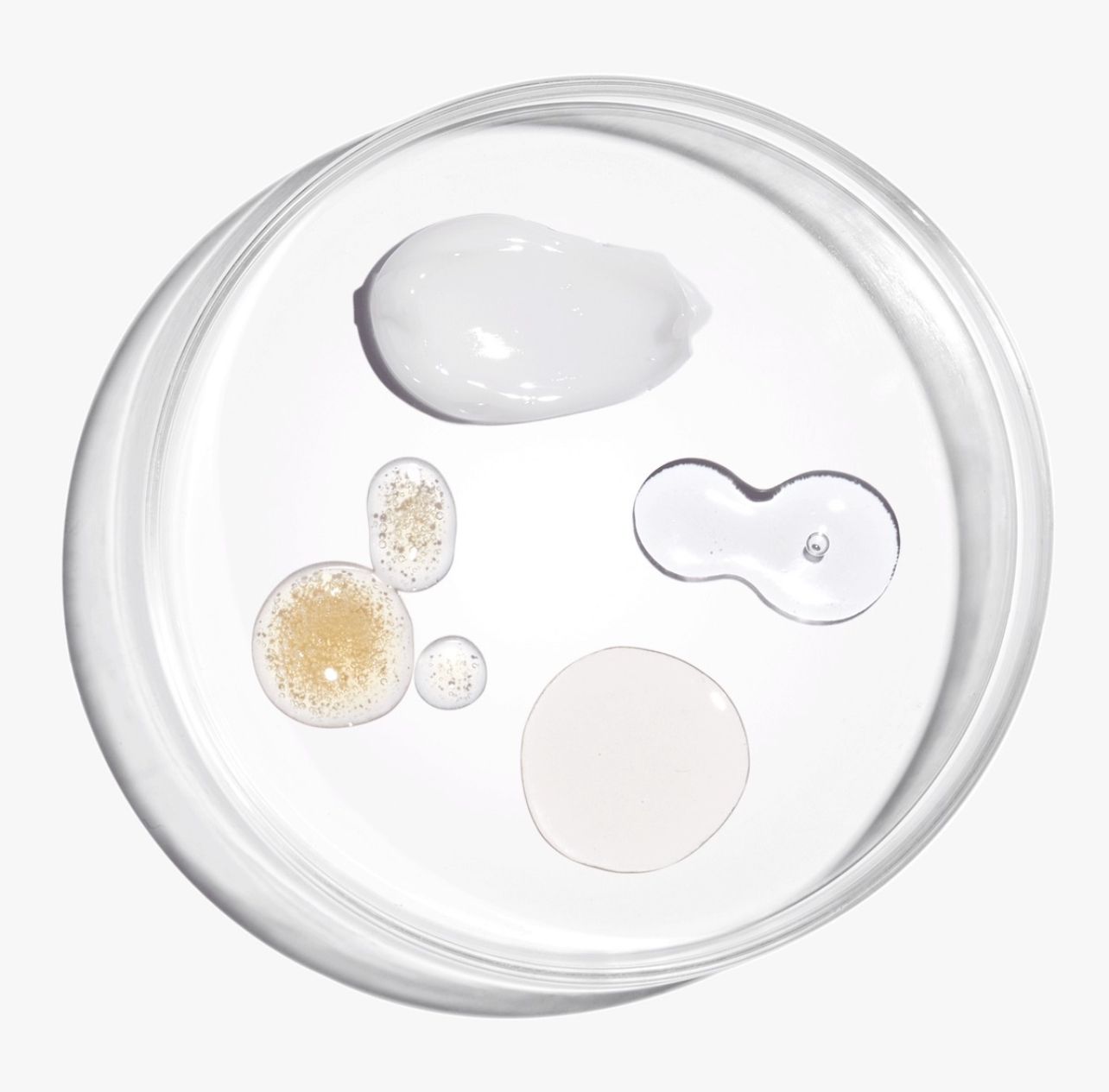 The Ordinary The Bright Set